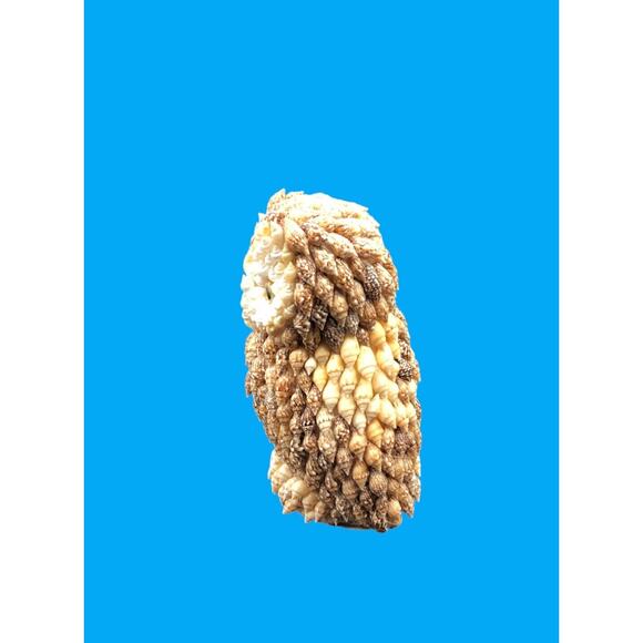 Vintage Sea Shell Owl Beach Art Figurine Google Eyes Ocean Kitchy MCM 5” - Picture 3 of 8